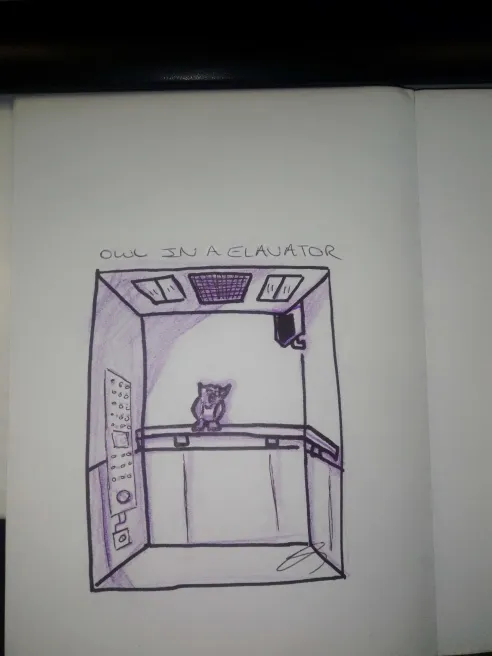 Elevator owl concept